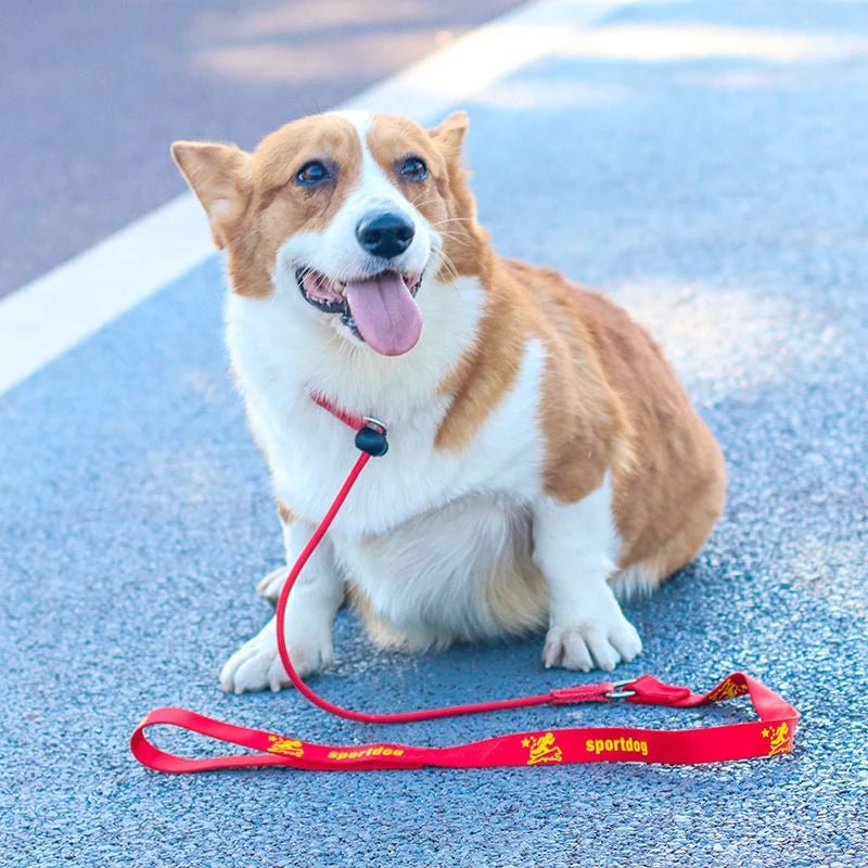 Green pet supplies slip lead, braided nylon no-pull dog leash for control