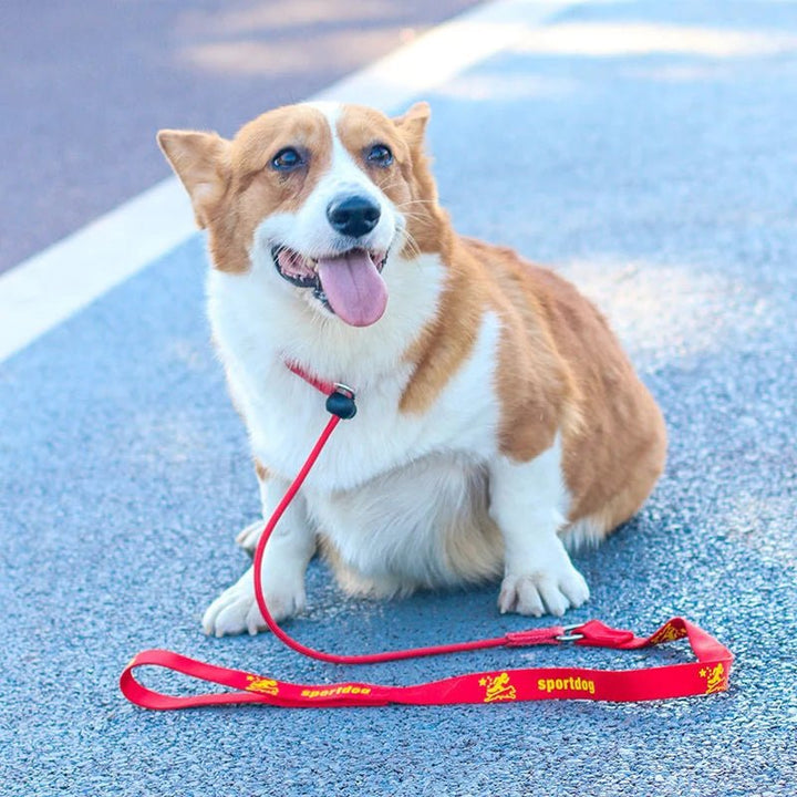 Green pet supplies slip lead, braided nylon no-pull dog leash for control