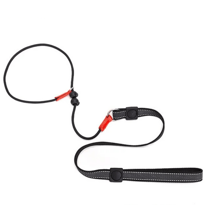 Puppy training slip leash in purple, comfortable no-pull adjustable design