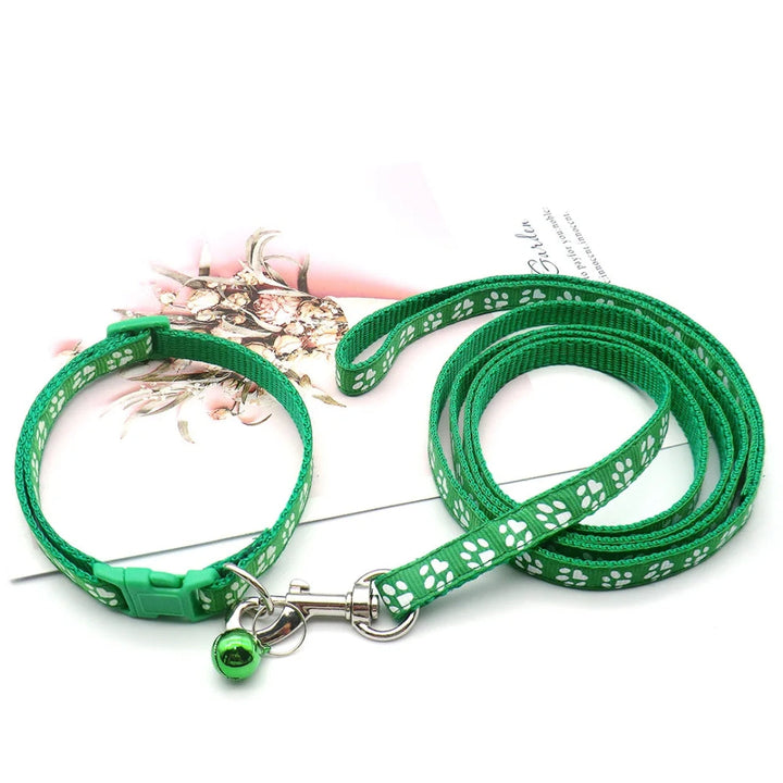 Grey durable nylon dog leash with a soft-grip handle, suitable for daily pet walks.