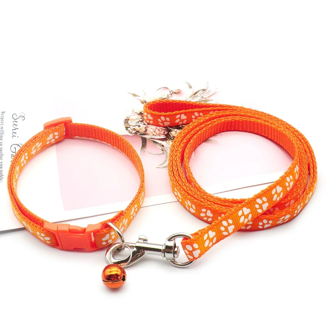 Image showing the strong stitching of a blue nylon dog leash, durable for small pets.