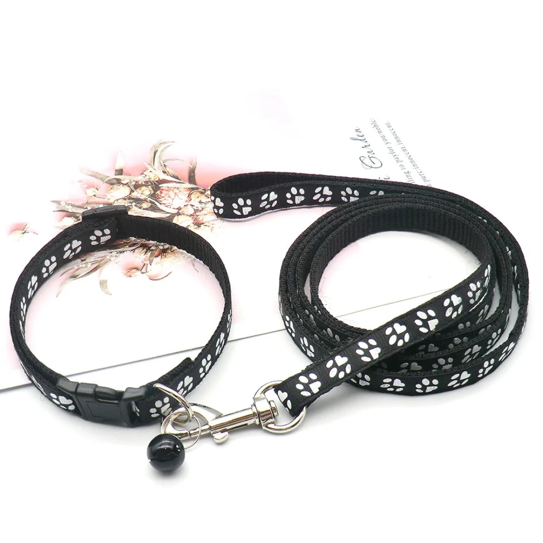 Black nylon pet leash with a comfy soft grip, ready for walking small and medium dogs.