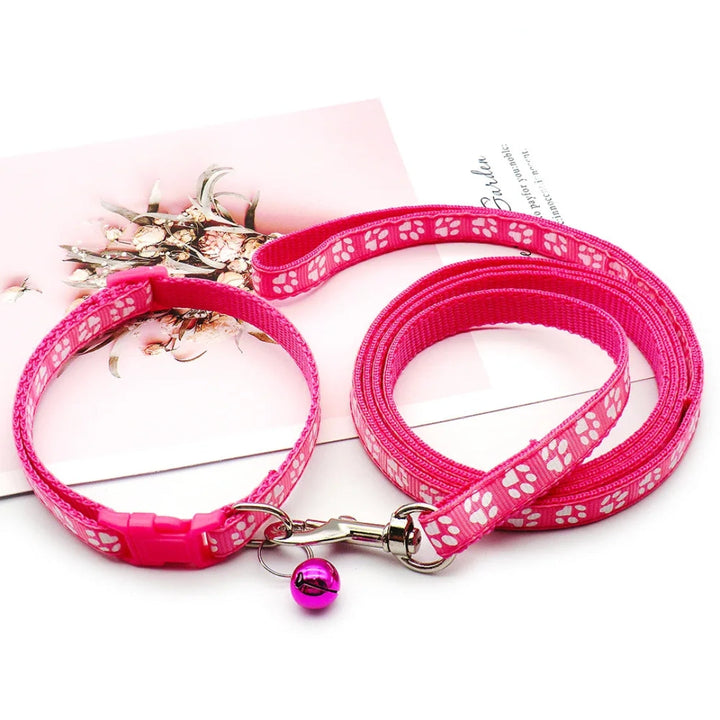 Purple durable nylon leash with metal clip, ideal for securing small to medium pets.