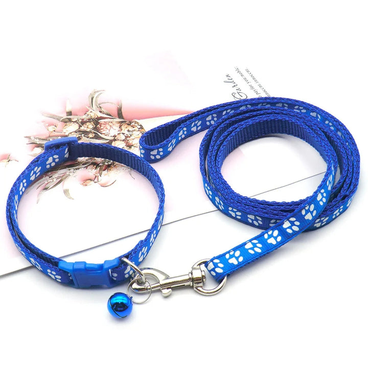 Two colorful nylon soft-grip leashes (red, blue) for small to medium dogs, side-by-side.