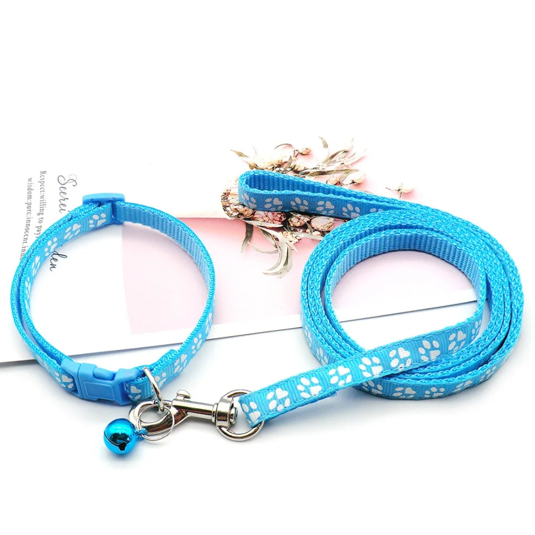 Black standard nylon dog leash, soft-grip handle for comfortable walks with small pets.