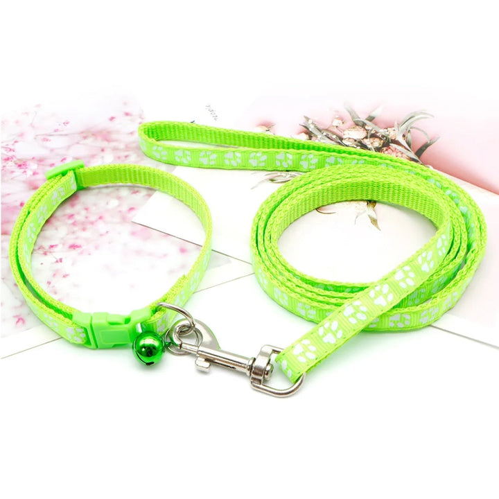 Orange colorful soft-grip nylon dog leash, great for walking small to medium puppies.