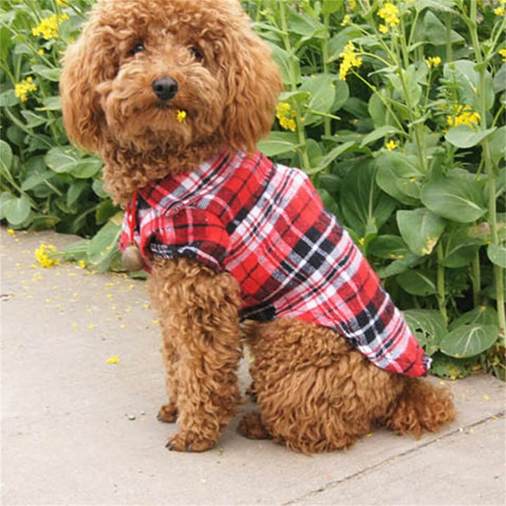 Stylish dog in a black and white plaid button-up shirt, showcasing trendy animal fashion