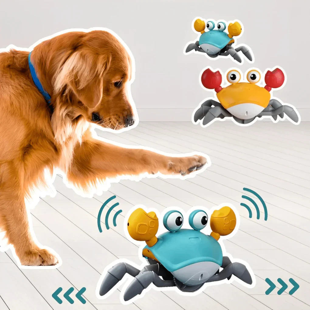 Squeaky plush crab dog toy, perfect for interactive fetch and play. Durable pet toy for small to medium dogs.