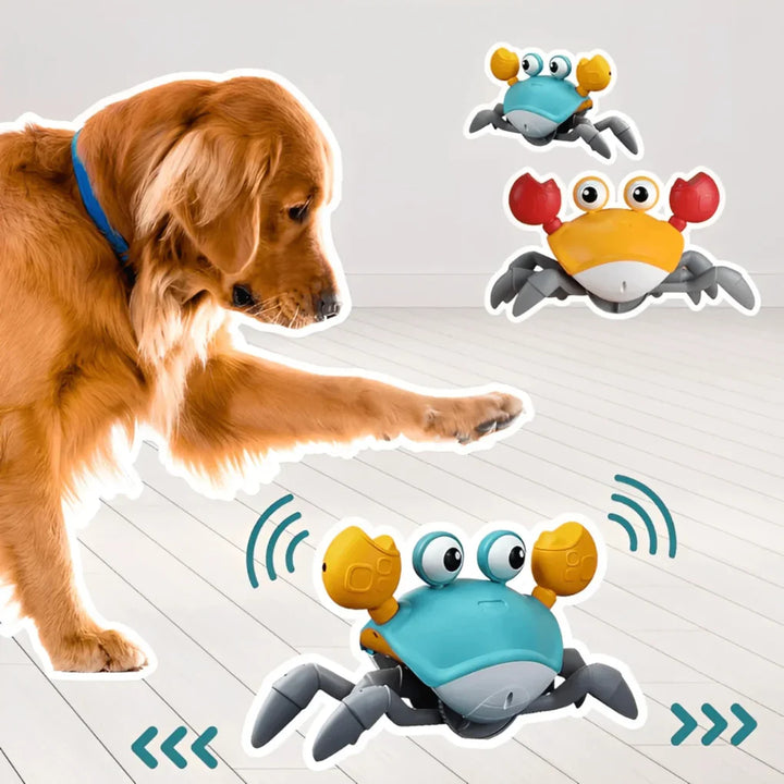 Squeaky plush crab dog toy, perfect for interactive fetch and play. Durable pet toy for small to medium dogs.