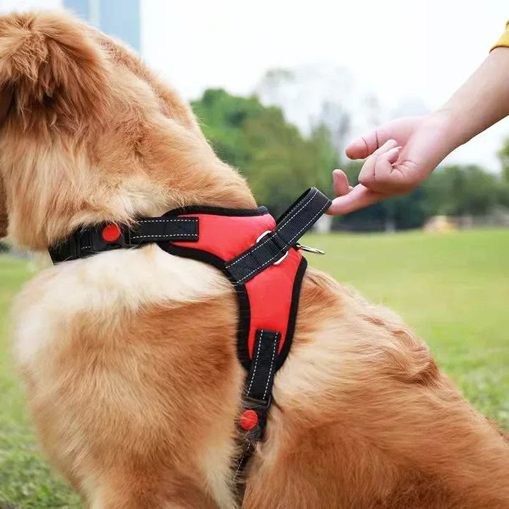Black durable no-pull dog harness with reflective trim, showing all-season pet safety.