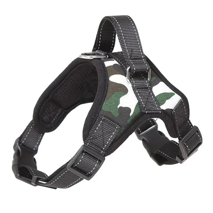 Dog wearing a blue no-pull pet vest harness, ideal for dog training and comfortable walks.