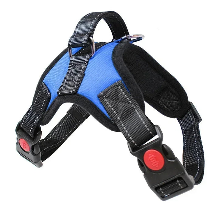 Green all-season no-pull dog harness with front and back leash attachments, visible reflection.