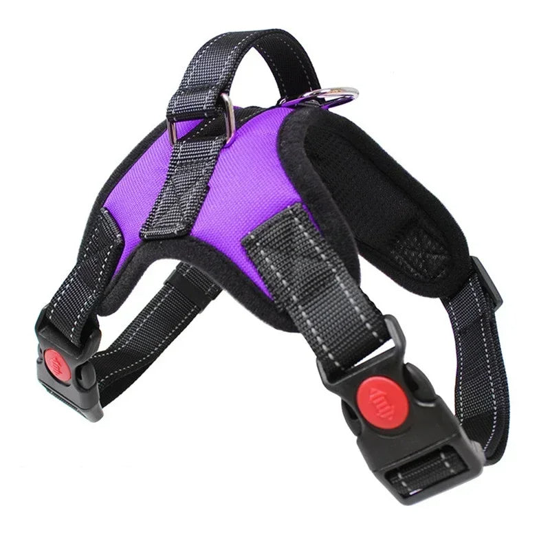 Reflective no-pull dog harness in purple, demonstrating adjustable fit and secure pet safety design.
