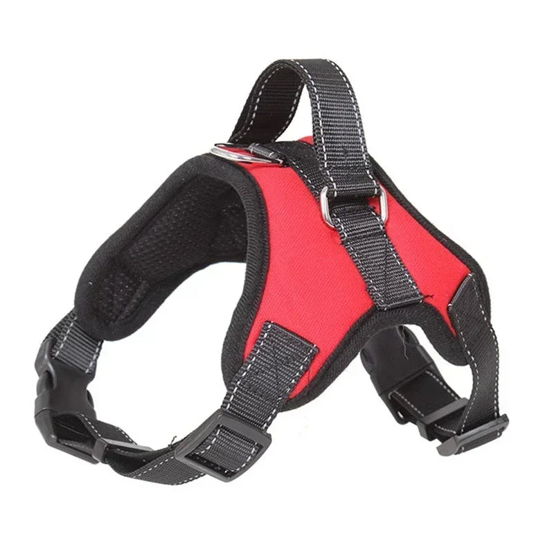 Orange durable no-pull dog harness on ground, showing design for training and safe, comfortable walks.