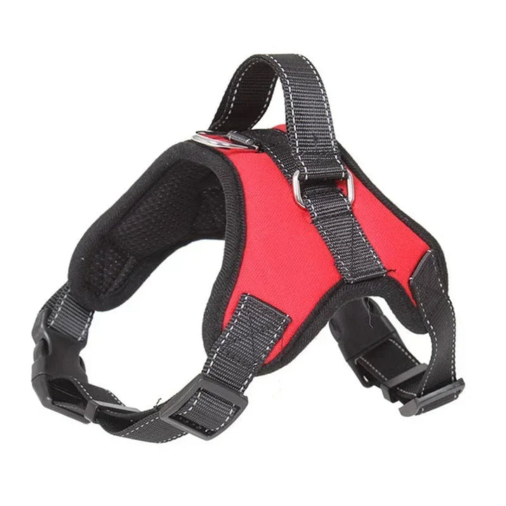 Orange durable no-pull dog harness on ground, showing design for training and safe, comfortable walks.