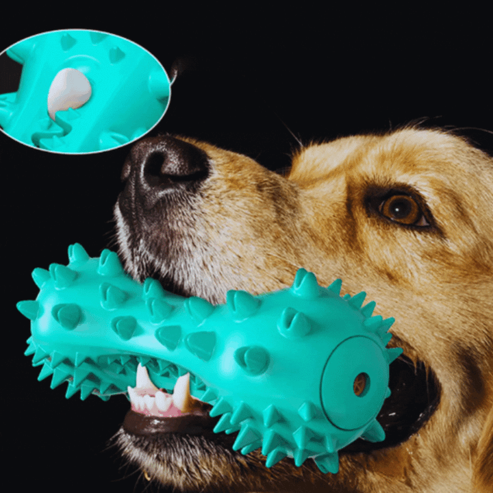 Blue sound-activated spiked chew toy for dogs, promoting dental health and interactive play.