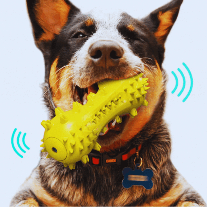 Durable dog chew toy with built-in sound activated feature, ideal for puppy dental care and enrichment.