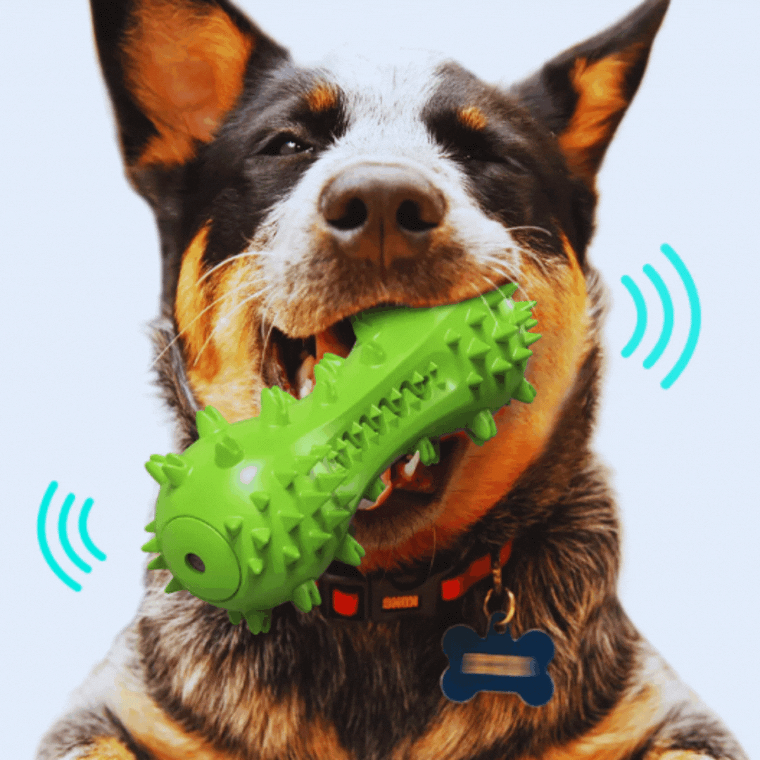 Interactive dog toy, sound-activated and spiked, designed for engaging chew sessions and canine dental health.