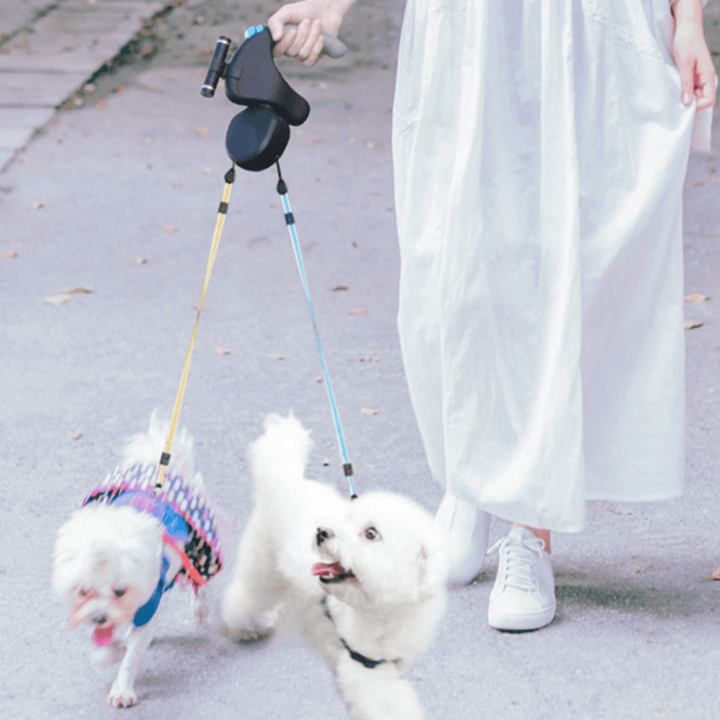 Dog leash double with two excited dogs being walked, illustrating tangle-free design