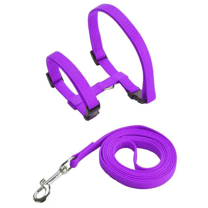Detailed image of anti-escape pet harness leash attachment point, durable metal ring.