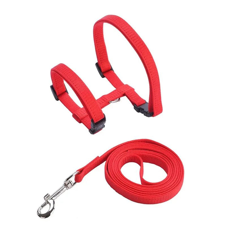 Collection of colorful anti-escape pet harnesses and leashes for various small pets.