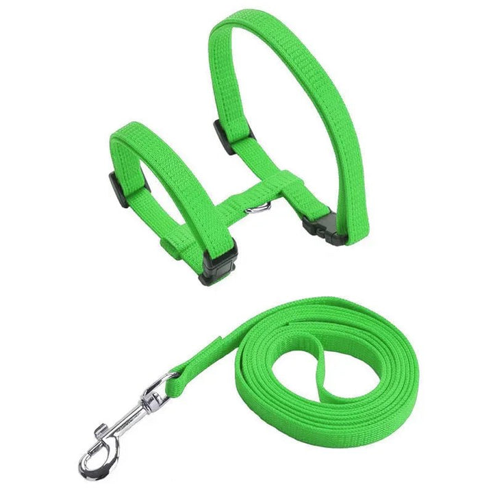 Orange unisex anti-escape pet harness with leash, perfect for secure outdoor adventures.