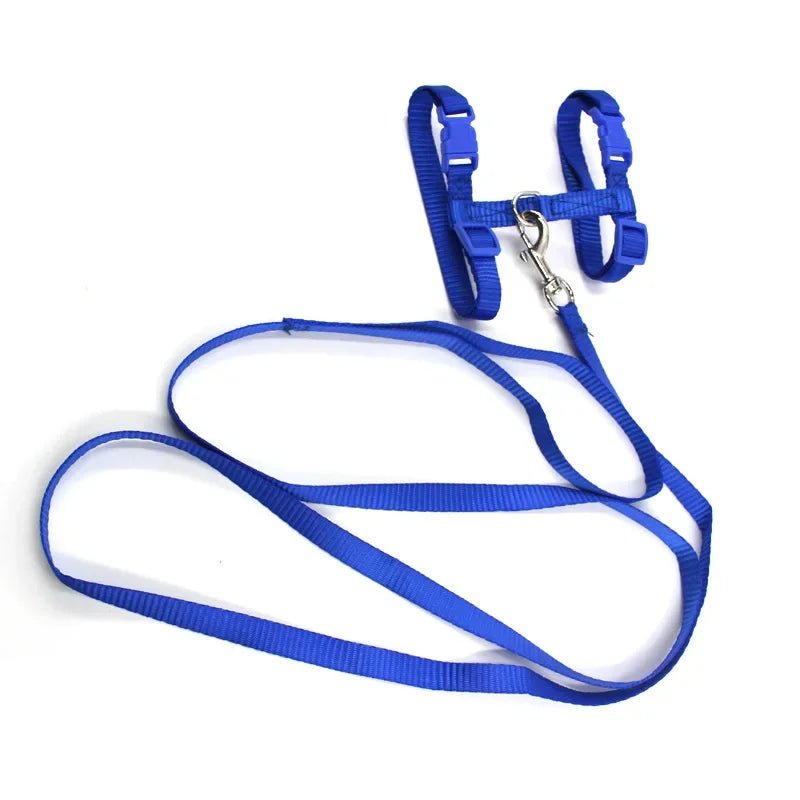 Black anti-escape dog harness and matching leash, comfortable H-shape for daily walks.