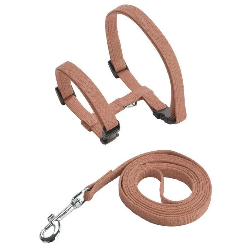 Close-up of anti-escape pet harness buckle, showing secure and adjustable strap.