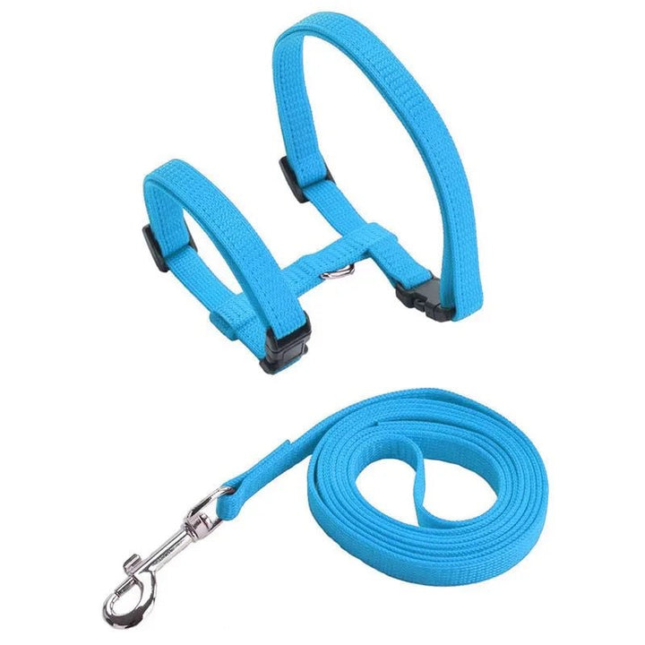 Side view of black H-shape anti-escape pet harness, designed for comfort and security.