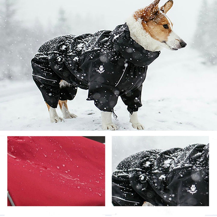 Dog in a red adjustable pet vest, pet raincoat, breathable outdoor pet gear.