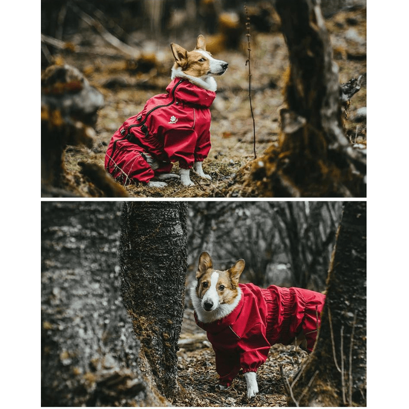 Adjustable straps on a black dog raincoat, ensuring a secure and comfortable fit for pet wear.