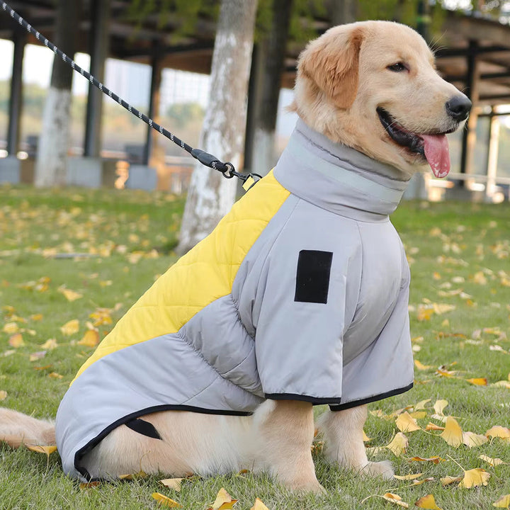 Red waterproof dog coat for all weather protection, adjustable straps, outdoor pet apparel.