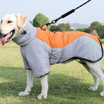 Gray-Orange
