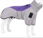 Gray-Purple