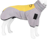 Gray-Yellow