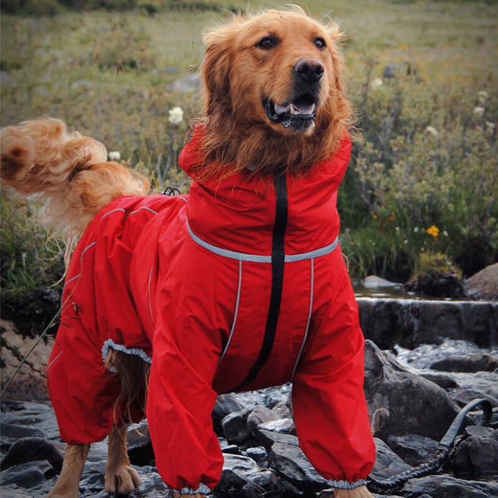 Red waterproof dog raincoat with adjustable straps for outdoor protection, shown on a large dog.