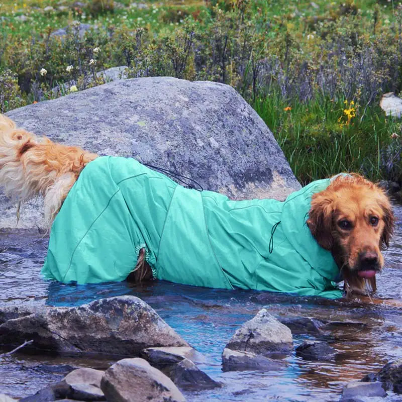 Packaging of an outdoor waterproof dog raincoat, highlighting its features and durability.