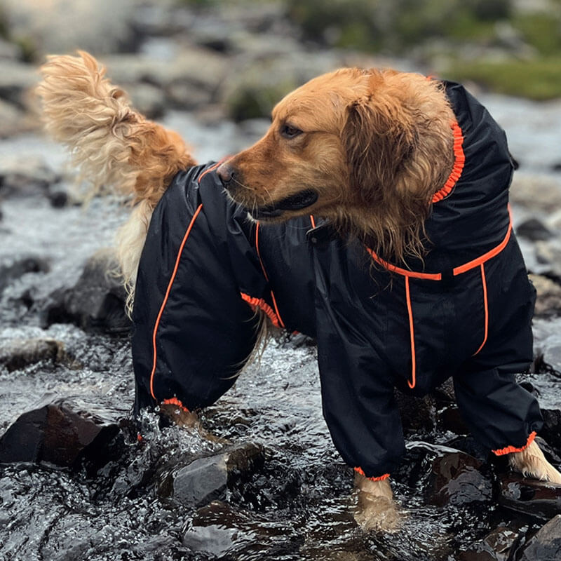 Yellow pet jacket, waterproof and reflective, designed for large dogs' outdoor adventures.