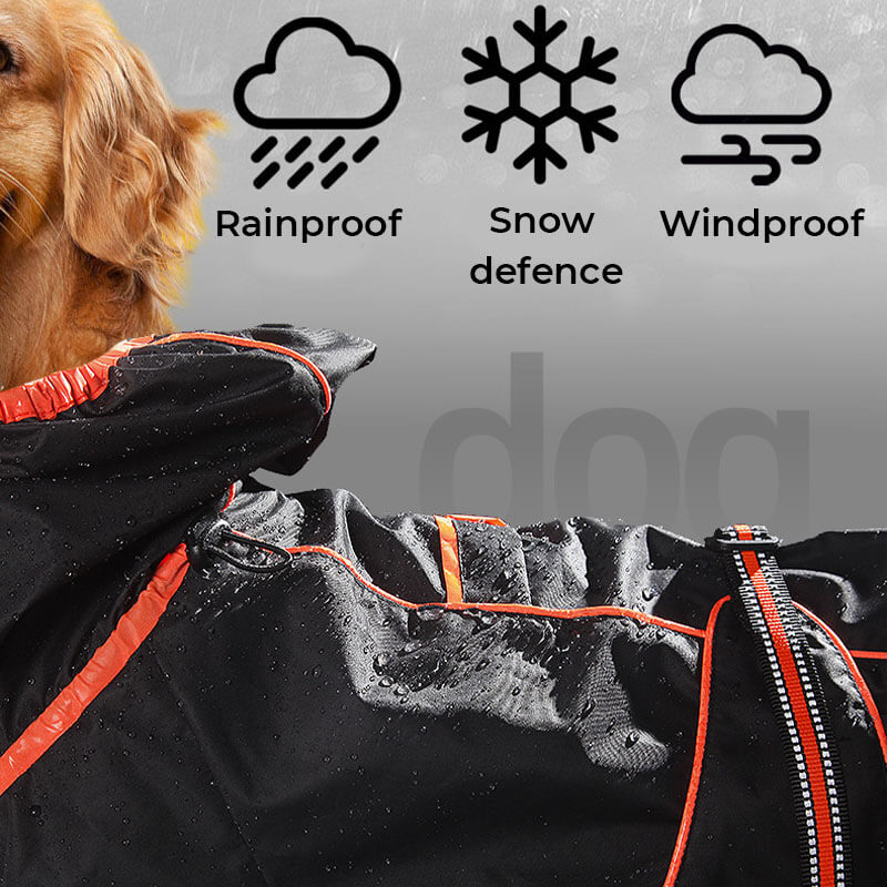 Close-up of the adjustable strap on a dog raincoat, showcasing the secure closure mechanism.