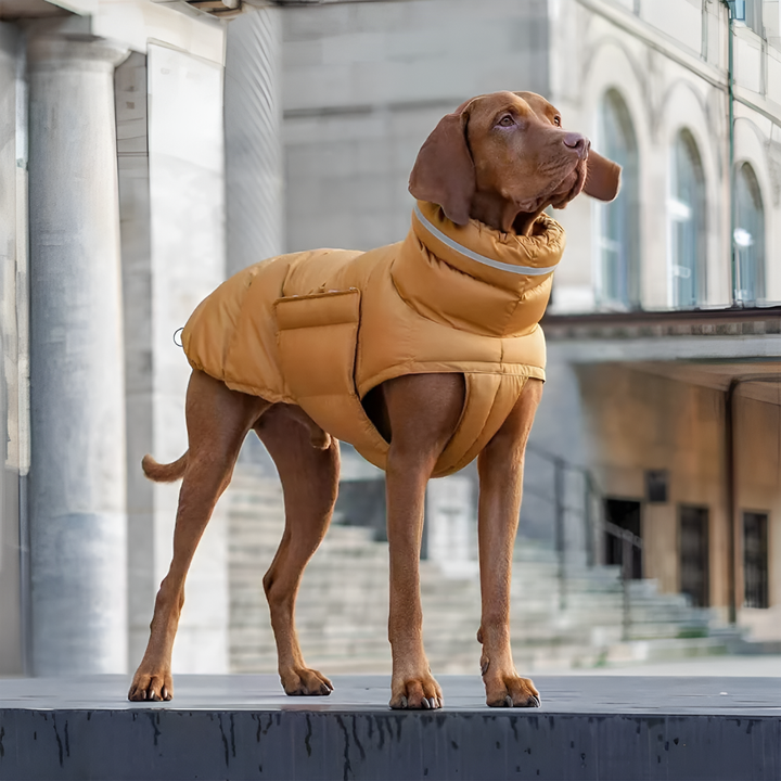 Red waterproof dog vest for winter, adjustable straps, cold weather pet apparel for small to large dogs