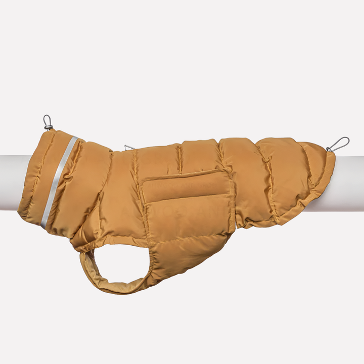 Dog wearing an orange adjustable winter vest, active outdoor pet jacket for warmth in snow or rain