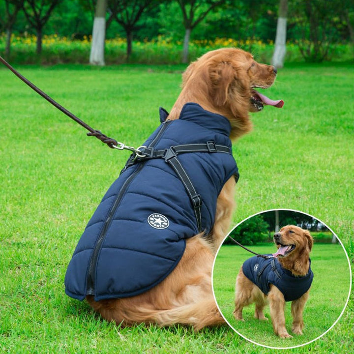 Red waterproof dog winter coat with reflective trim for cold weather adventures, cozy pet apparel.
