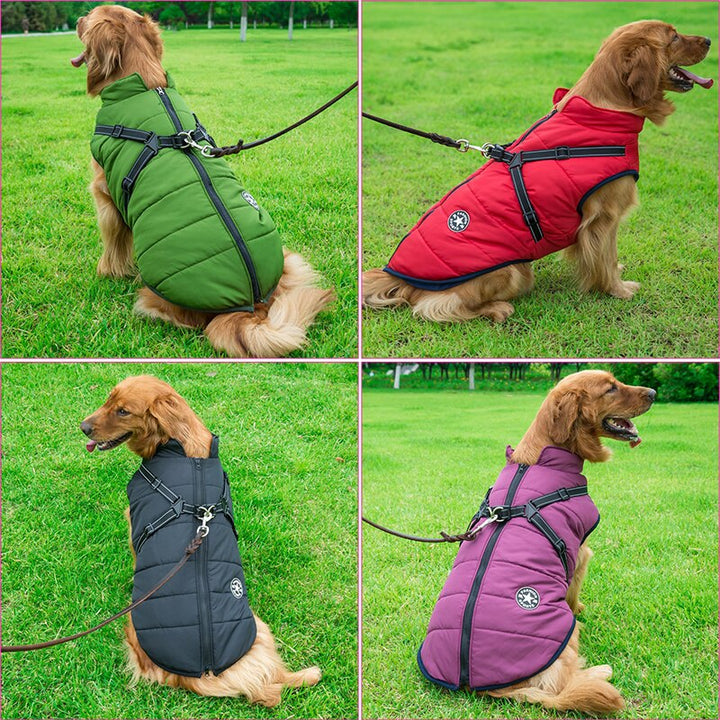 Close-up of a dog wearing a blue waterproof winter coat, showcasing comfortable pet clothing.