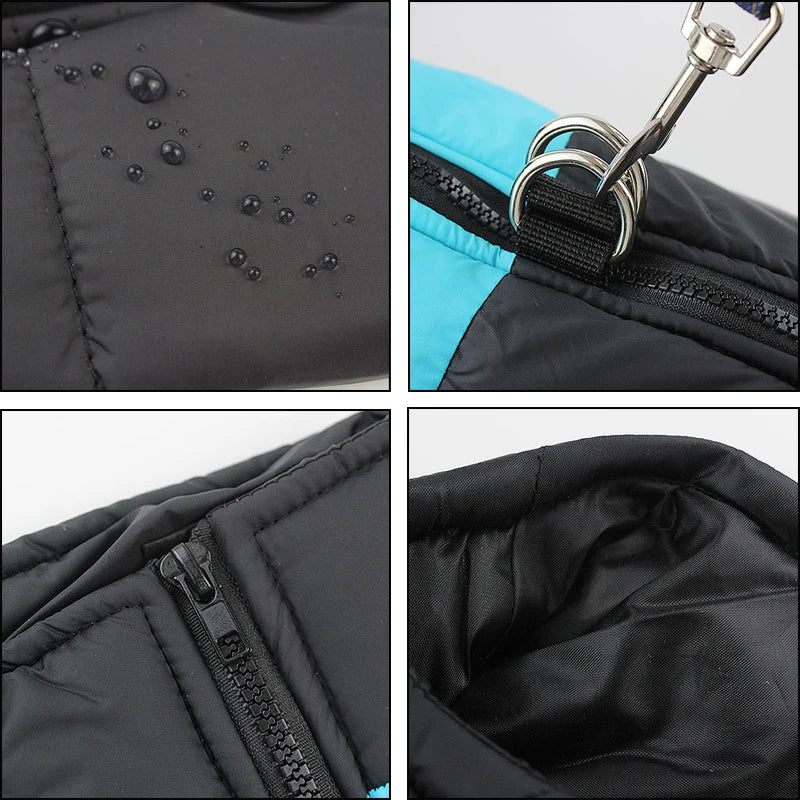 Close-up of a dog wearing a blue winter warm waterproof pet coat vest, outdoor pet gear