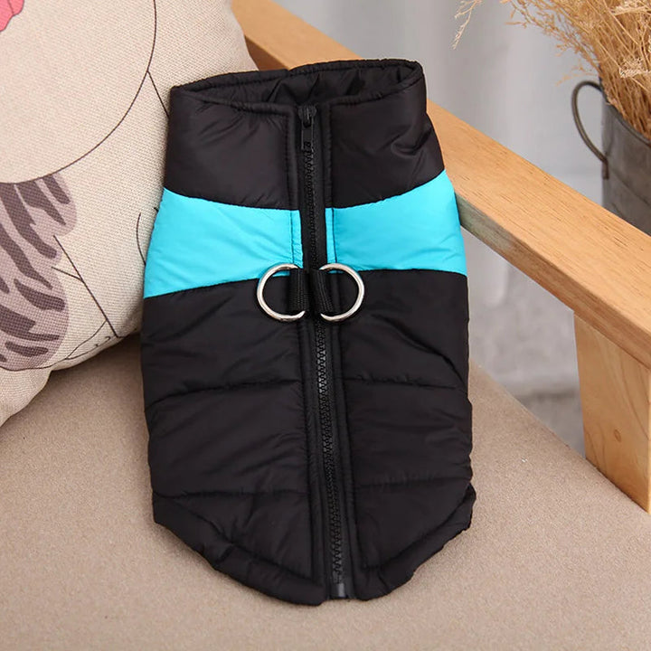 Fluffy small dog wearing a silver insulated pet coat, warm winter pet wear accessory