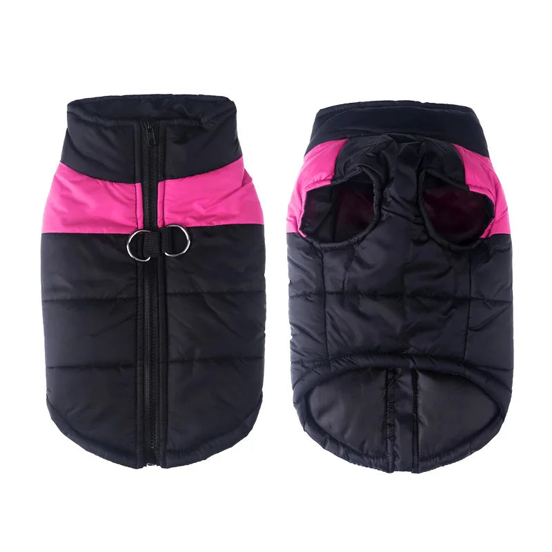 Back view of a waterproof pet jacket on a dog, designed for warmth and outdoor adventures