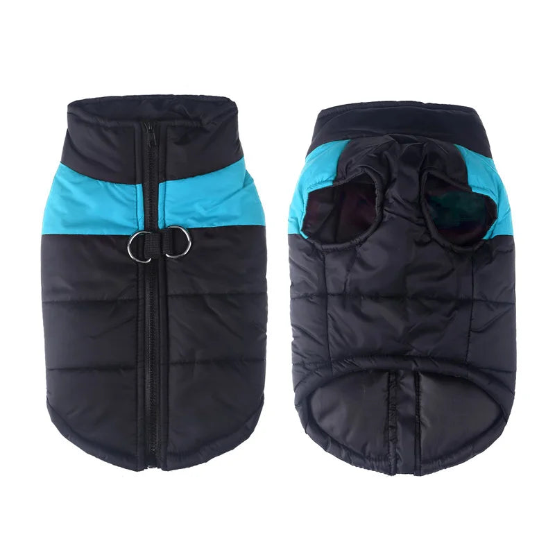 Close-up of the waterproof fabric and zipper on a unisex pet winter coat vest