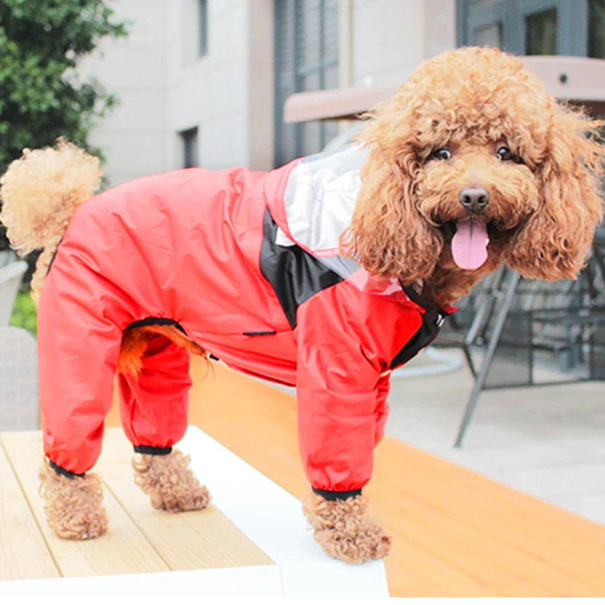 Green waterproof pet raincoat with hood, practical dog apparel & pet accessory for rainy days.