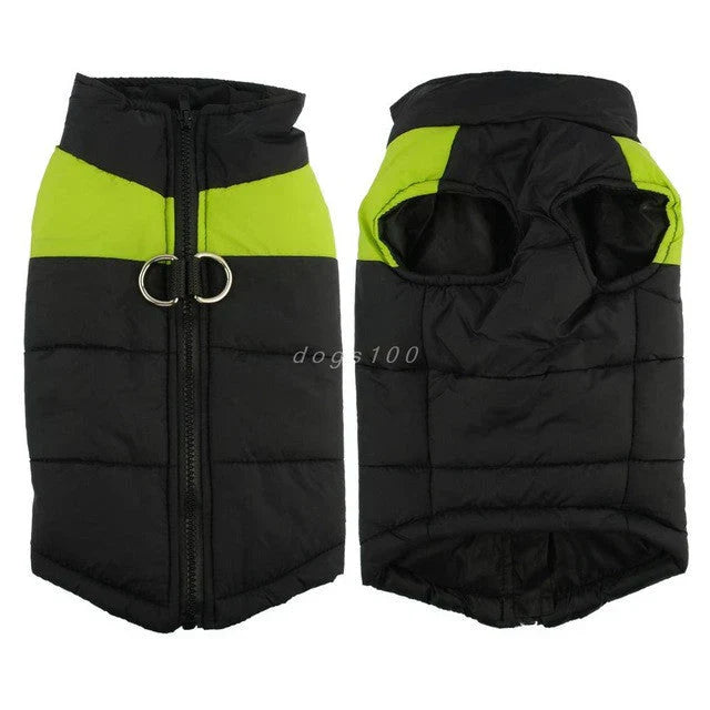 Warm dog jacket with secure harness on a small dog, ready for winter weather.