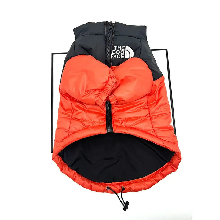Red waterproof windproof insulated dog coat for winter, worn by a happy golden retriever in snow.